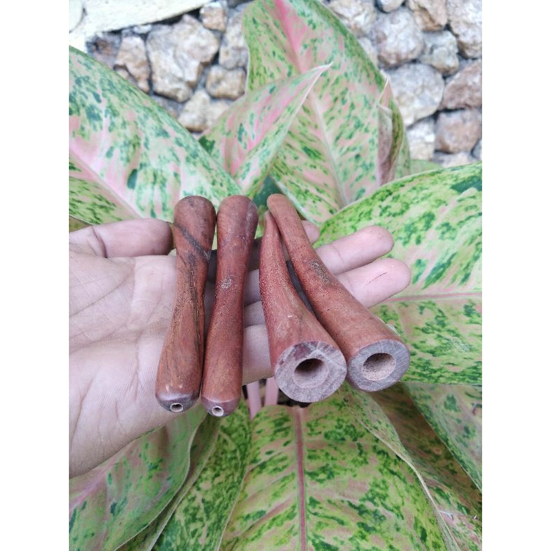 once pipa rokok stigi