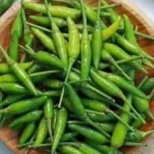 

cabe rawit hijau 250gr