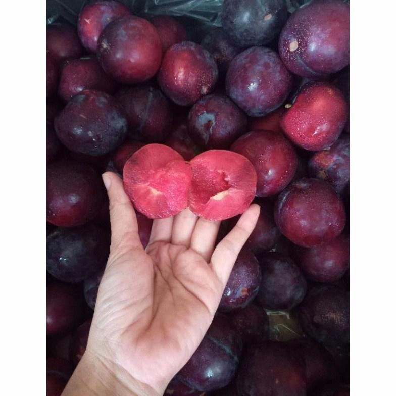 

BUAH PLUM Curah 1KG cimahi - bandung l Jbp_Fresh