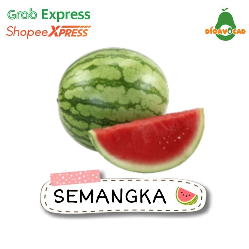 

buah semangka merah non biji