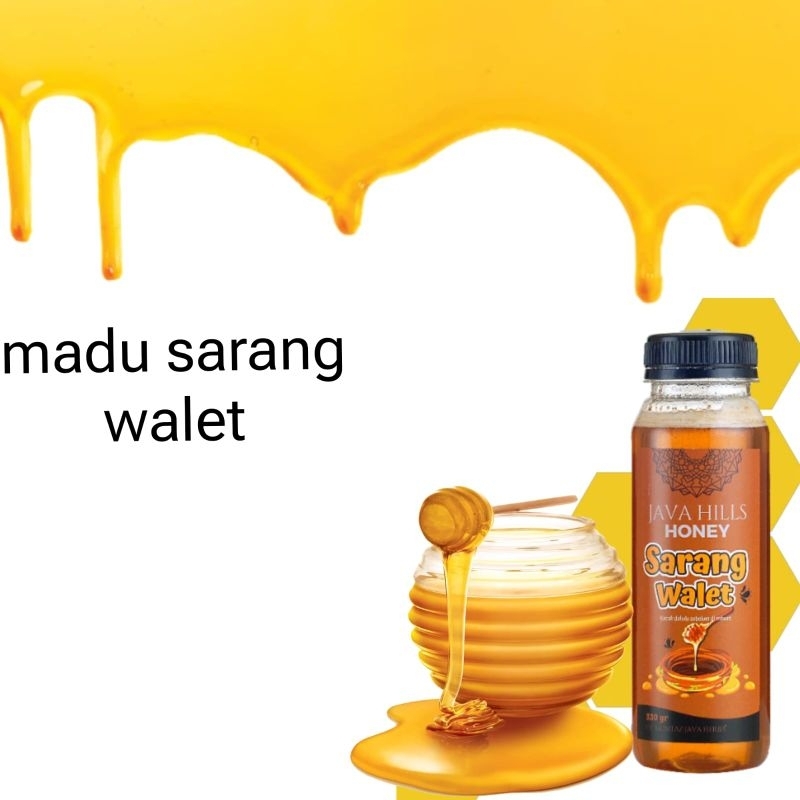 

madu sarang walet