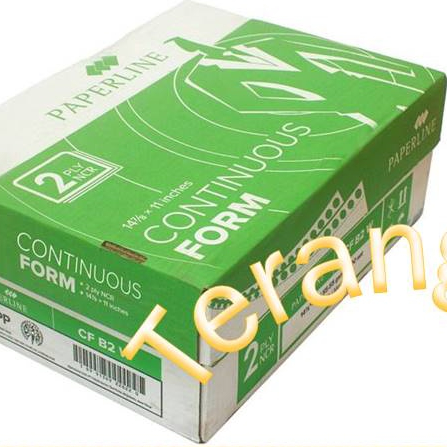 

Continuous Form 14 7/8 inch x 11 inch 2 ply NCR Paperline