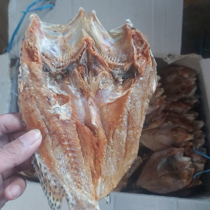 

ikan kering SUNU
