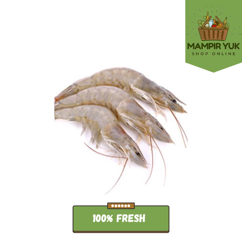 

Udang putih 500gr-1kg | mampiryuk