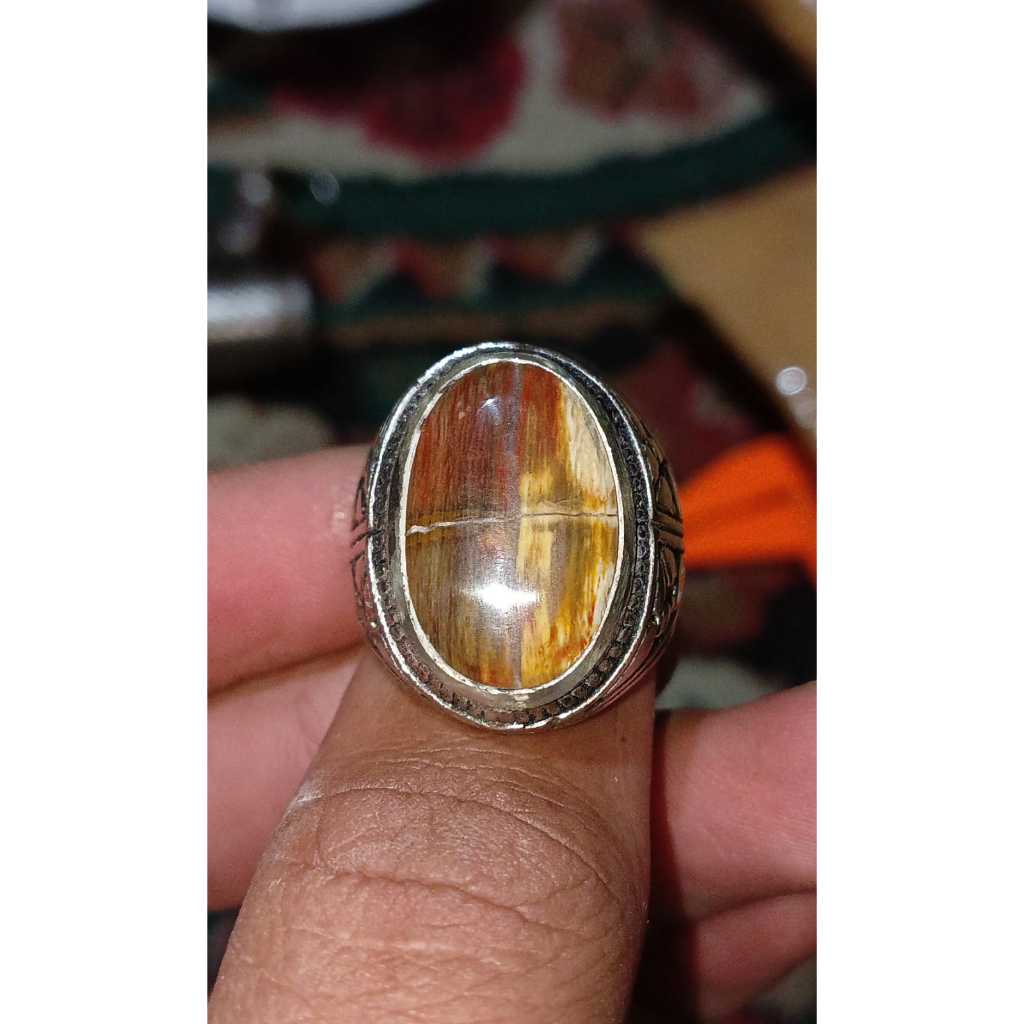 Batu Akik Fosil Kayu