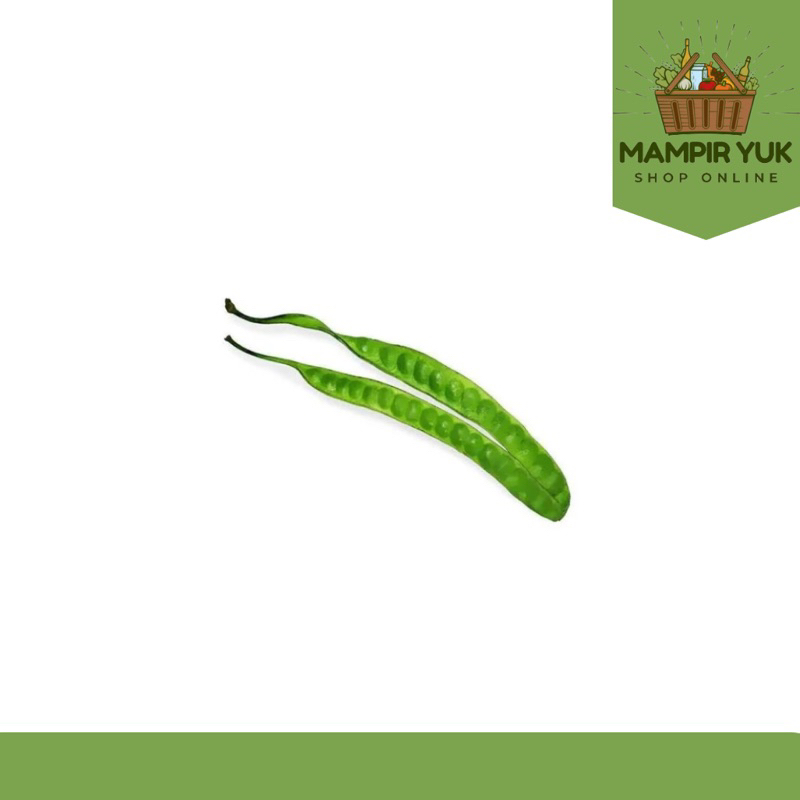 

Pete/papan | mampiryuk