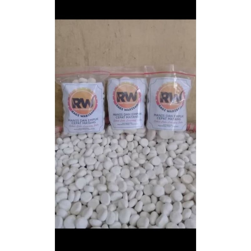 

RAGI TAPE SINGKONG DAN KETAN BUMBU STANDAR ANTI GAGAL