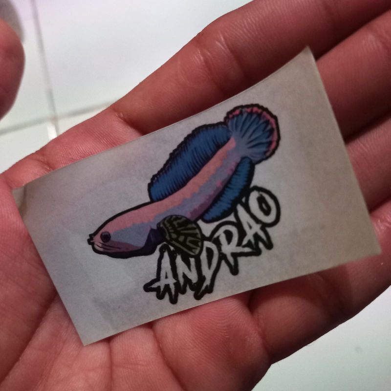 channa andrao gread 5-6 cm singgel tank