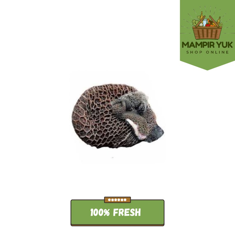 

Babat sapi 1kg | mampiryuk