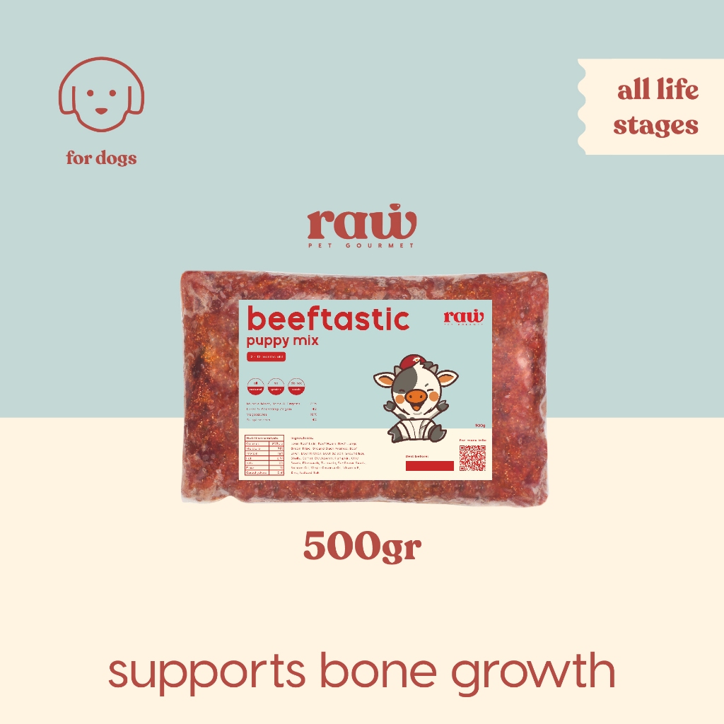 BEEFTASTIC PUPPY RECIPE // Raw Pet Gourmet // Makanan Anjing