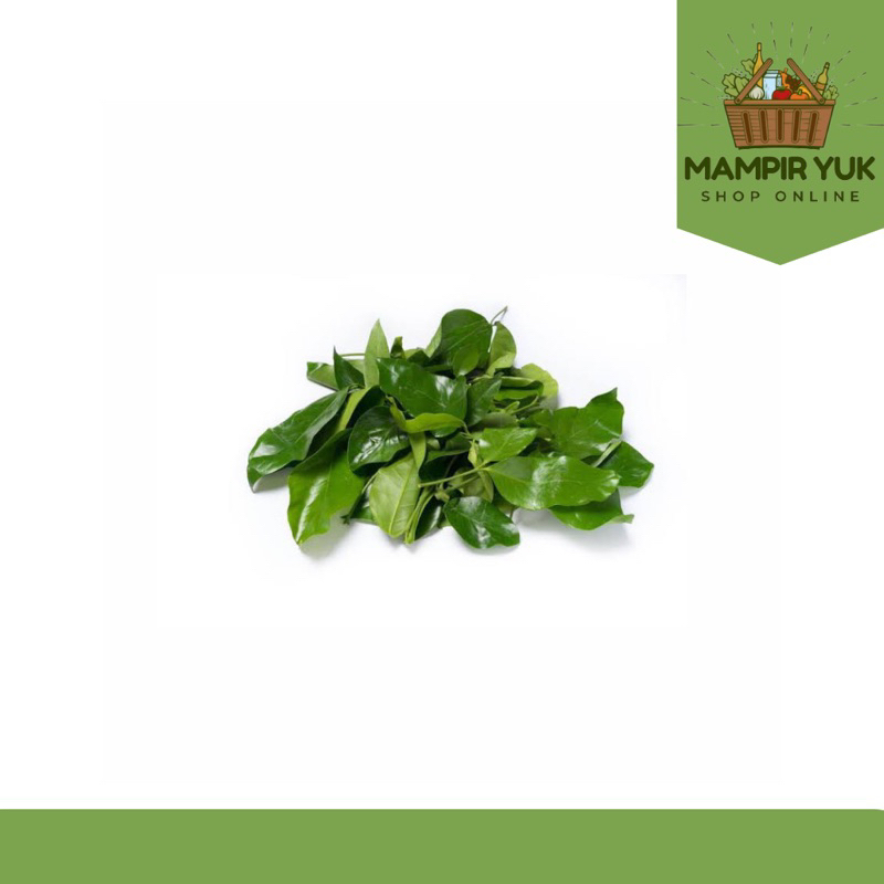 

Daun melinjo/ikat | mampiryuk