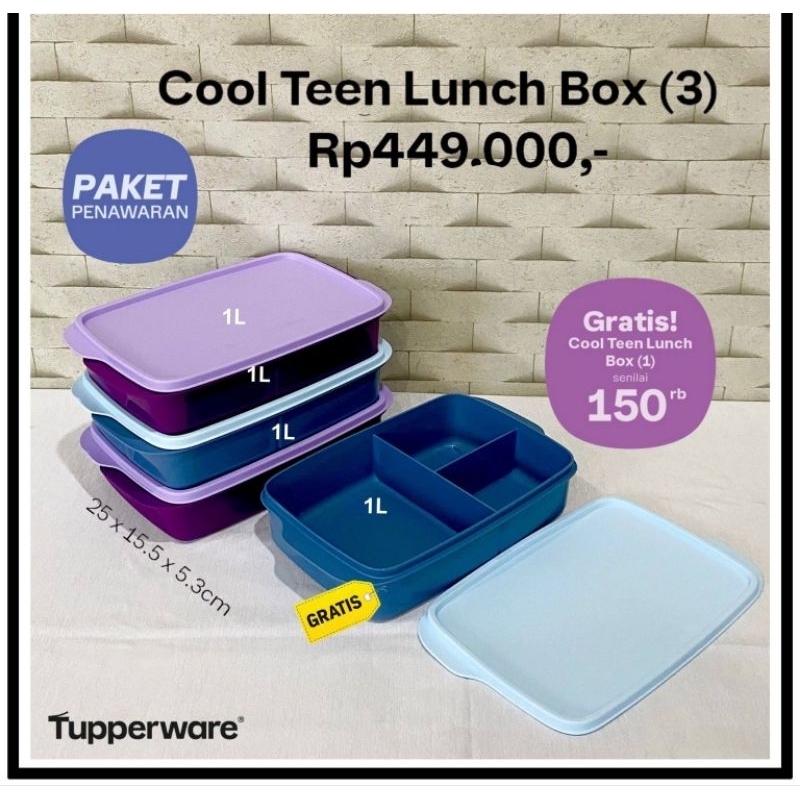 Tupperware,cool teen lunch box/Bekal