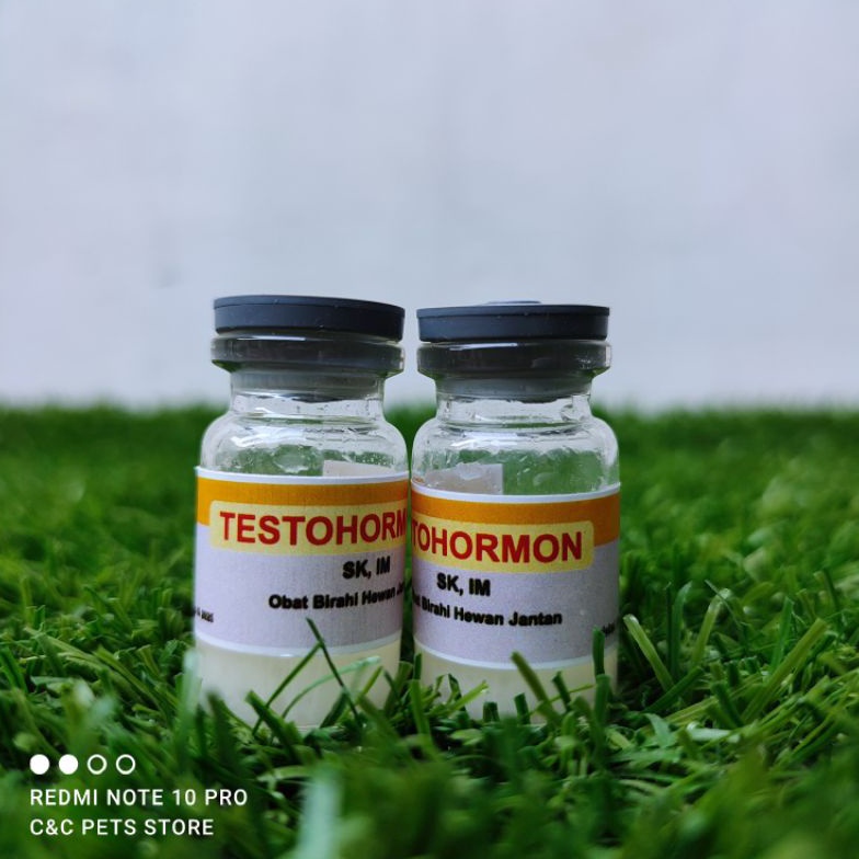 KODE T66L Testohormon Injeksi 5 ml penambah birahi untuk hewan peliharaan jantan