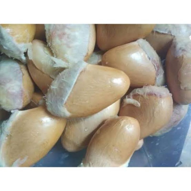 

biji durian lokal bersih barang baru 1kg isi 50++ untuk bibit