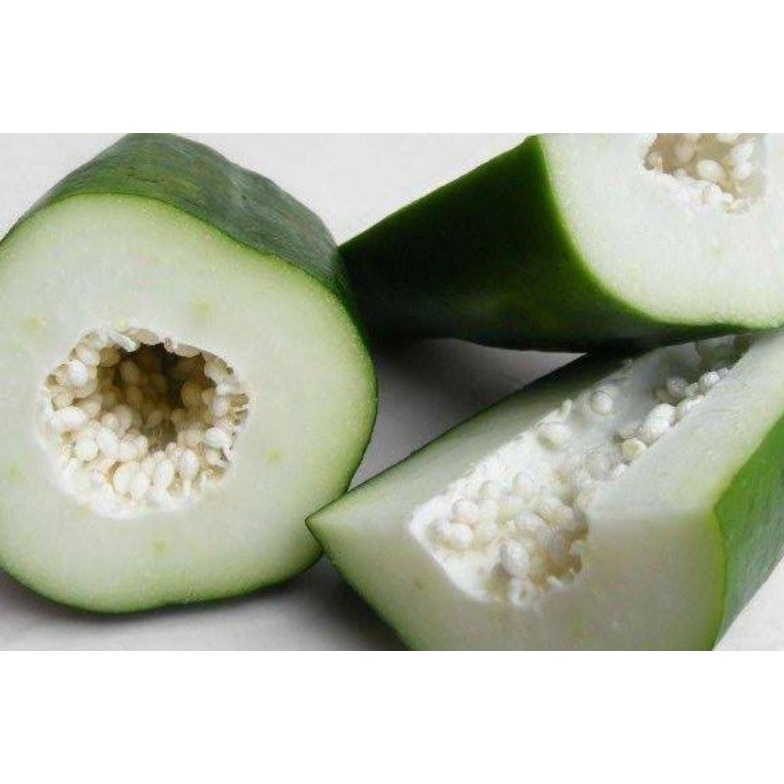 

SERENTAK Pepaya Muda Kates Muda