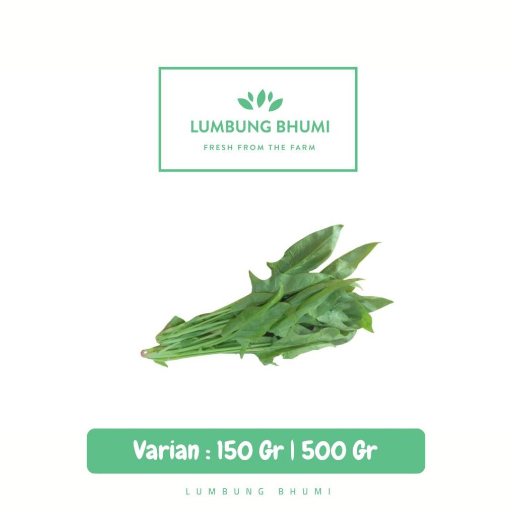 

Bayam Horenzo Sayur - Lumbung Bhumi