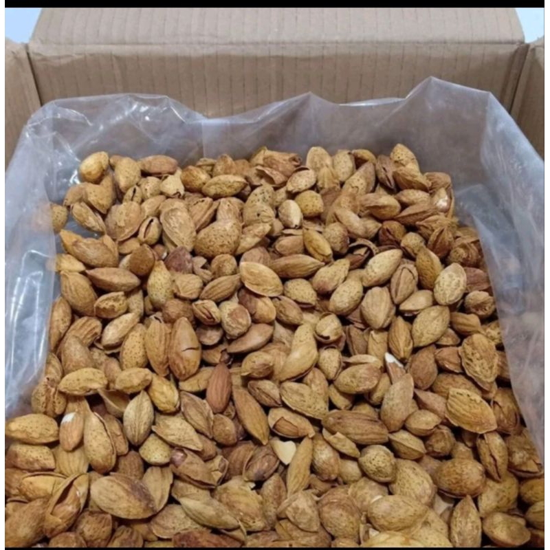 

kacang almond cangkang