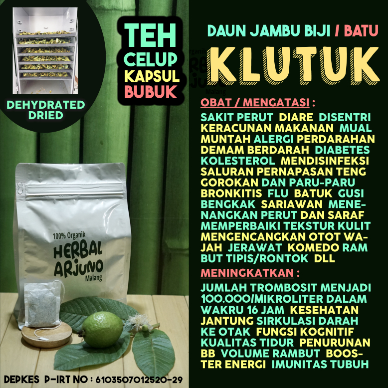 Dehydrated Dried Teh Celup Kapsul Bubuk Daun Jambu Biji Batu Obat Diare Disentri Demam Berdarah Meni