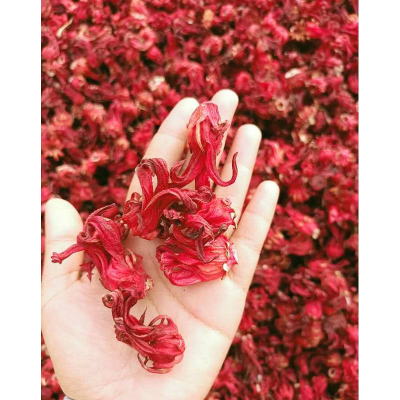 

Bunga Rosella merah Kering 100gram/Bonus Lemon Kering
