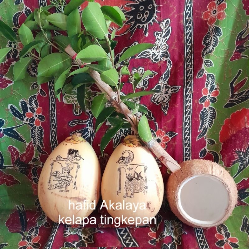 2 kelapa gading+ lukis untukacara 7 bulanan kehamilan/ready