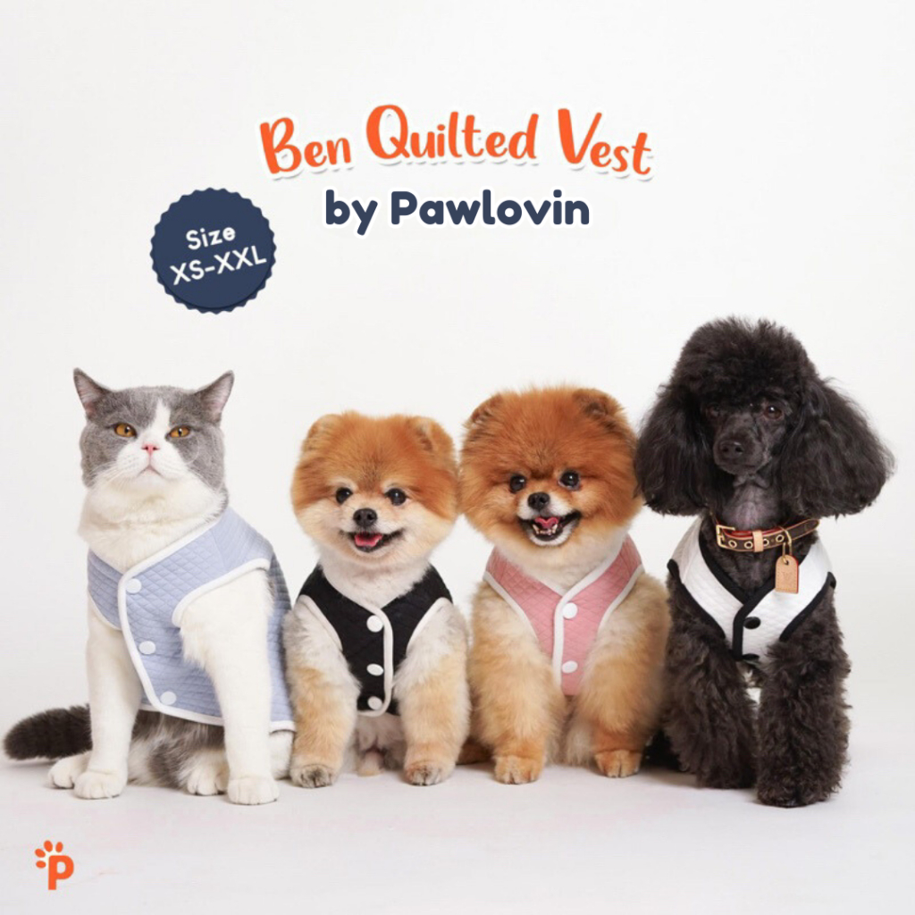 Pawlovin Ben Quilted Vest - Baju Anjing Kucing Jantan Betina - Vest for Puppy Kitten - Pet Vest