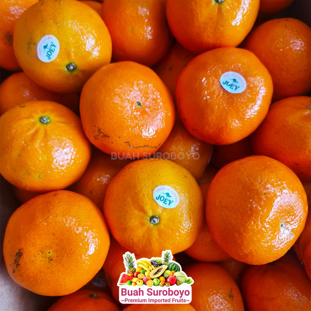 

Jeruk Murcot Premium Australia
