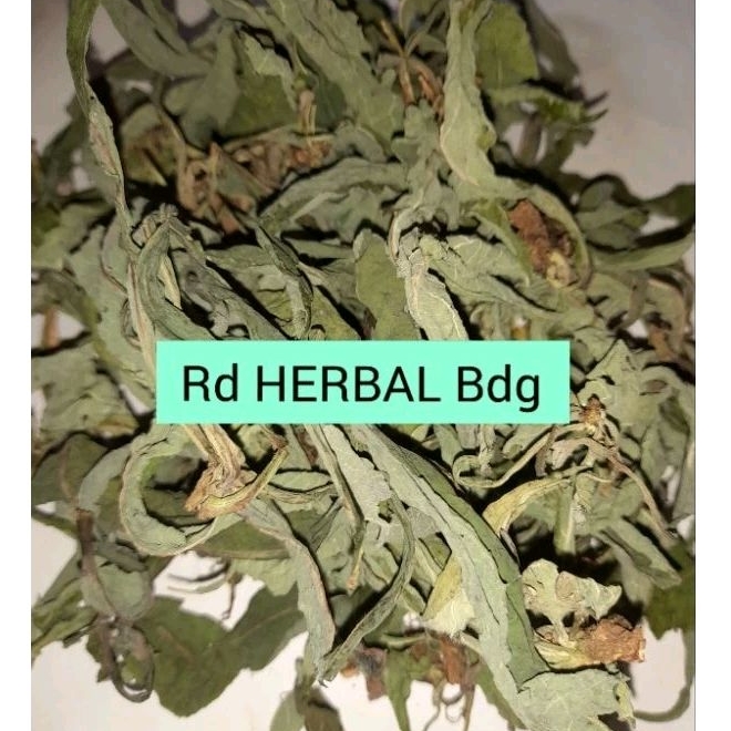 

Daun tempuyung 100gram kering daun camawak kering