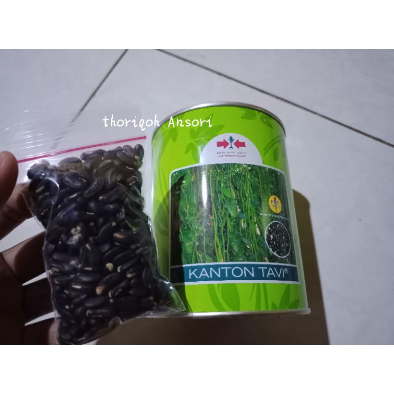 

Kacang panjang kanton tavi ecer (50gram)