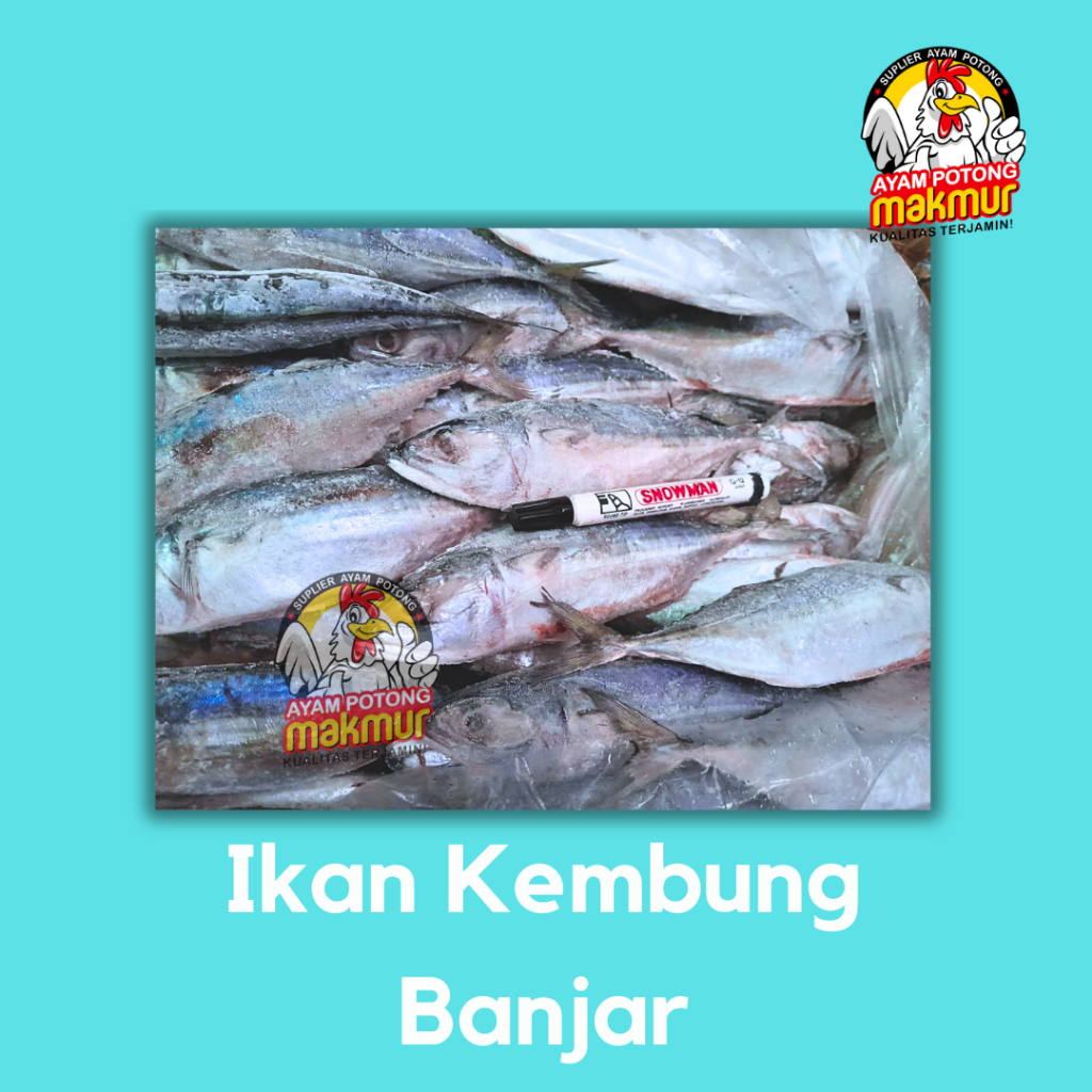 

Ikan Kembung Banjar