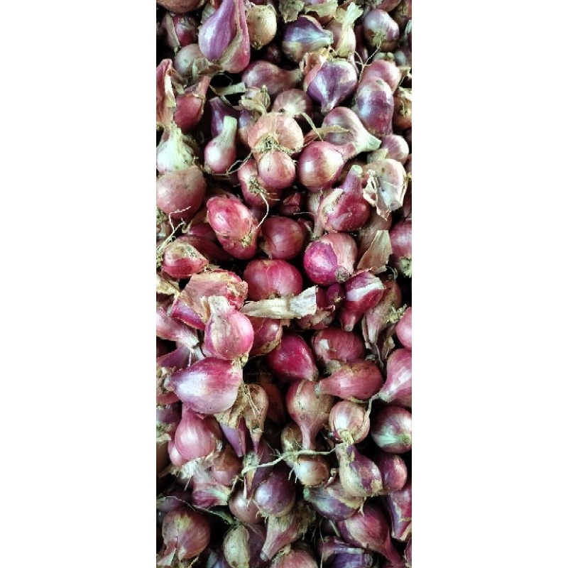 

bawang Merah tanggung biasa 1kg