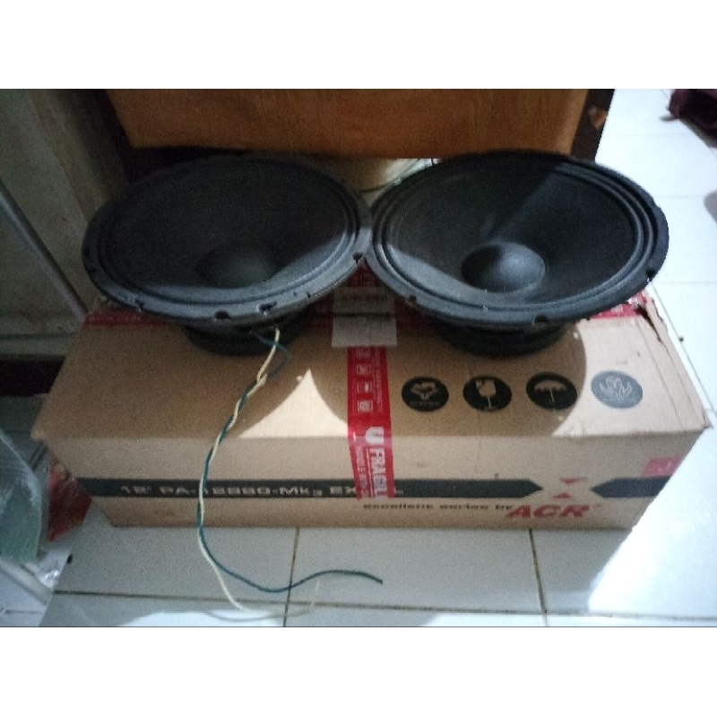 Excellent 12 in sepasang