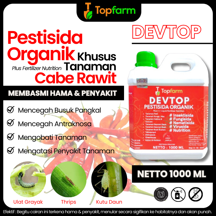 Obat Semprot Hama Daun Cabe Rawit / Obat Hama Organik Untuk Cabe Rawit / Obat Hama Cabe Rawit Paling