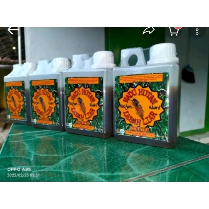 

madu lebah liar sumatra