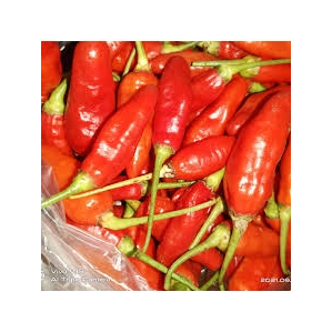 

Cabe Rawit Merah 100Gram (Sayur Maxx)