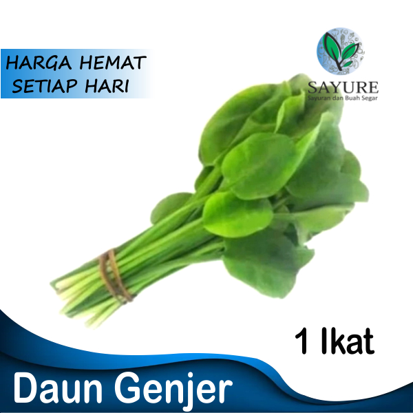 

DAUN GENJER 1 IKAT