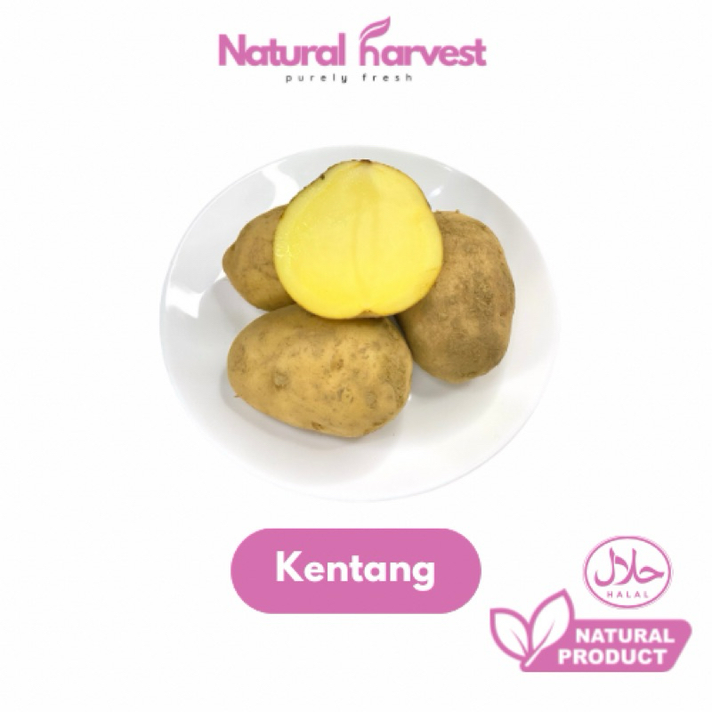 

Kentang Fresh 500gr | NaturalHarvest!