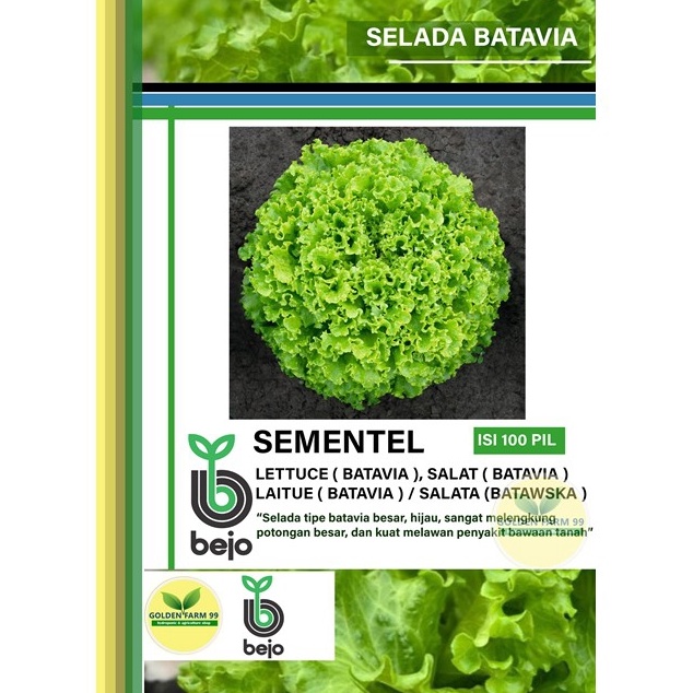 SERENTAK Benih selada BATAVIA BEJO SEMENTEL Kemasan 1 pil