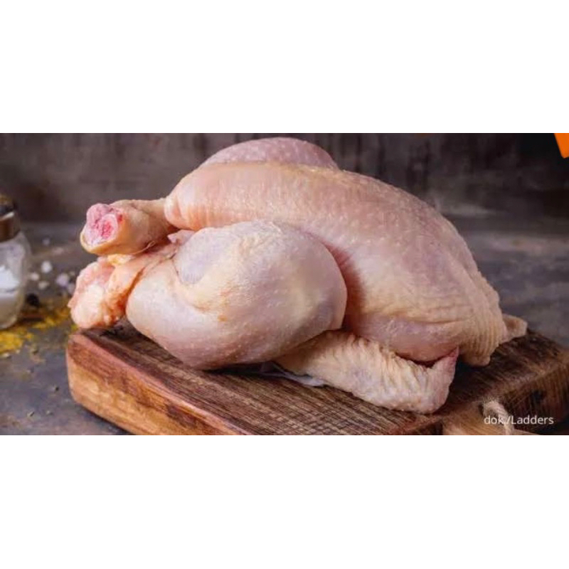 

Boneless Paha Ayam Segar 1Kg / Fillet Paha Ayam Fresh 1 kg (Ayam Segar)