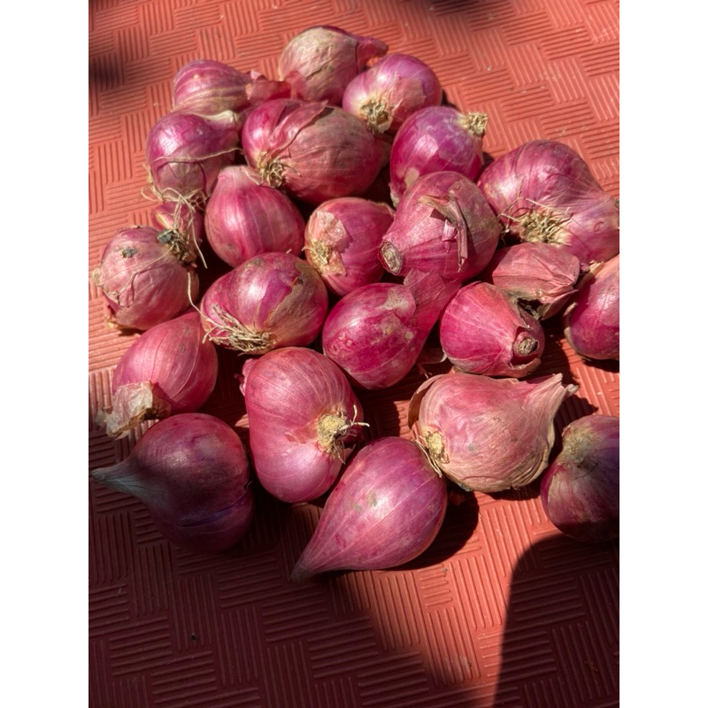 

Bawang Merah Grade A