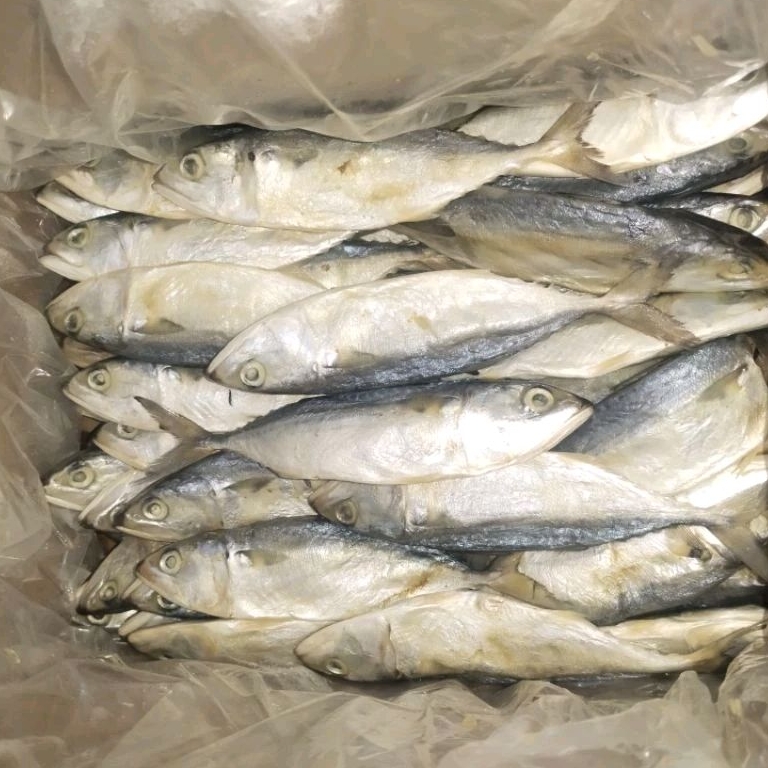 

Ikan Asin Murah / Ikan Asin peda Putih 500 gram