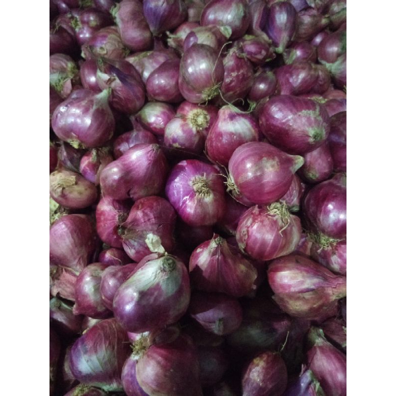 brambang jowo SUPER (1kg)