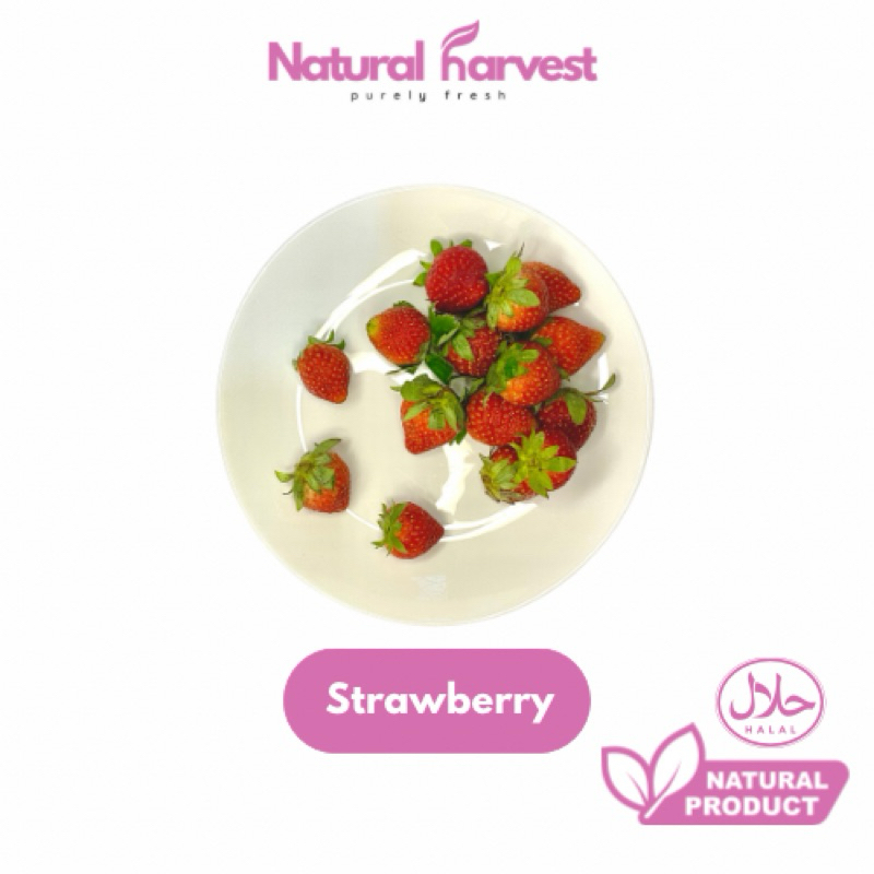 

Buah Strawberry Super Fresh Bandung | NaturalHarvest!