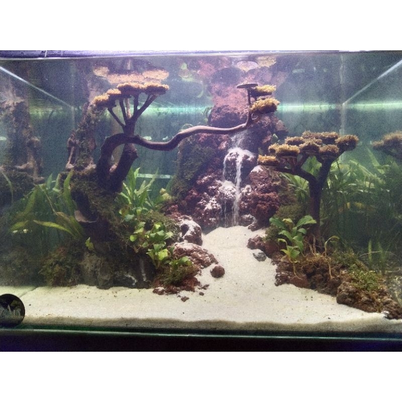 aquascape waterfall