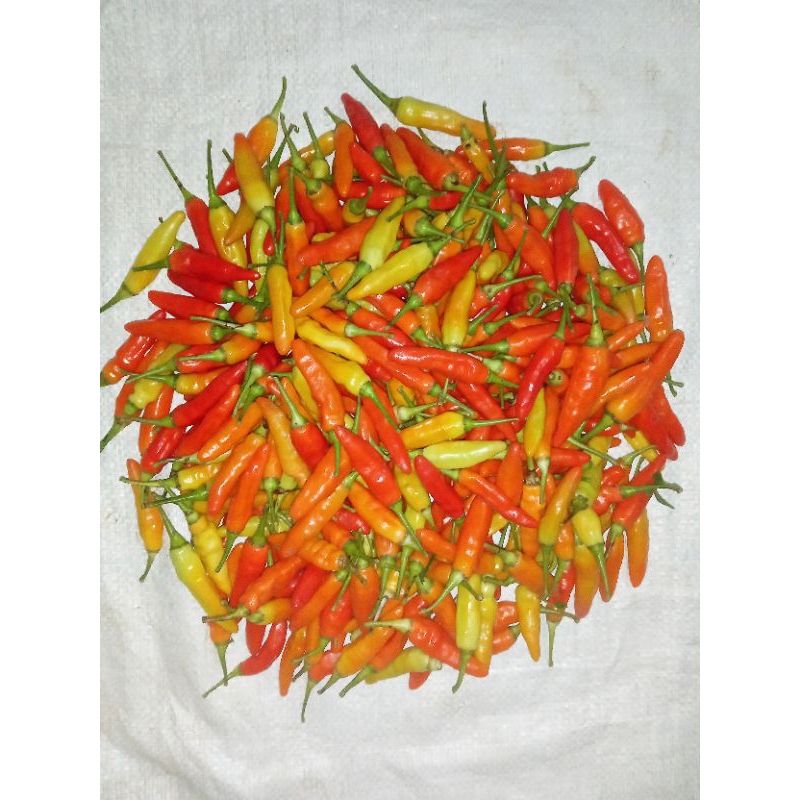 

Cabe Rawit Merah Ori 500 gr