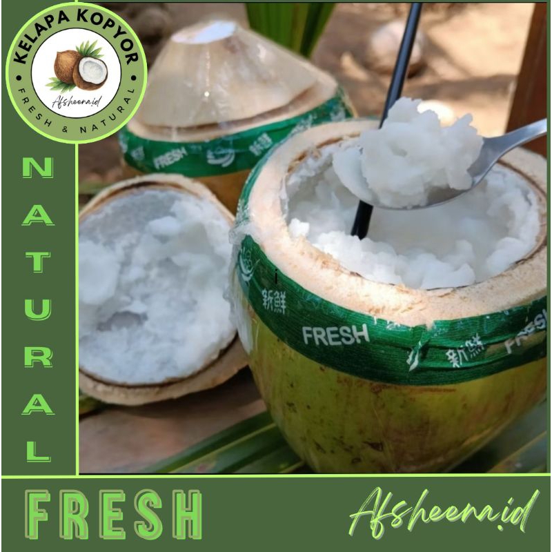 

Kelapa kopyor [UTUH] uk 40-42