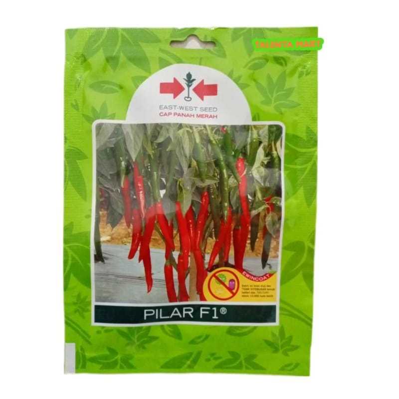 125 Butir Benih Cabe Besar PILAR F1