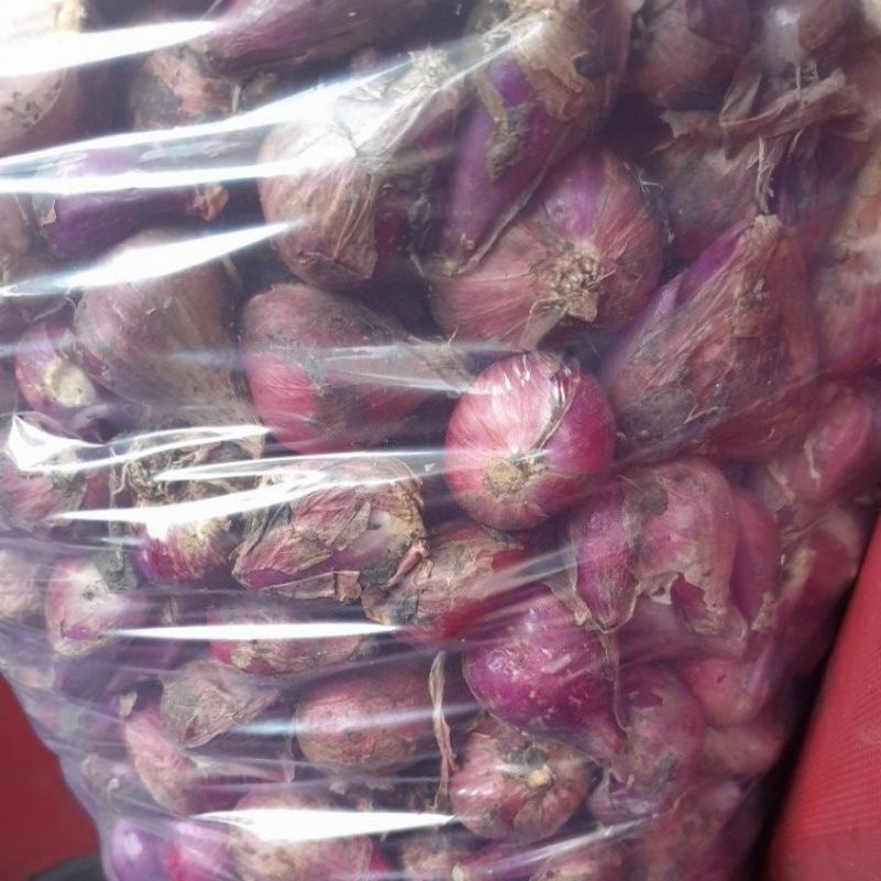

Bawang Merah Brebes