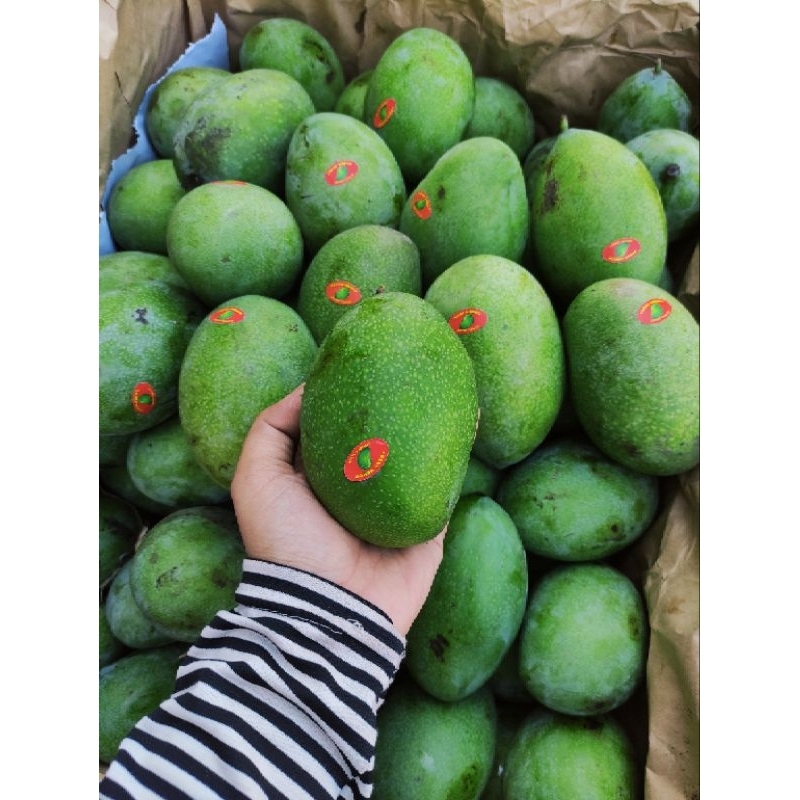

buah mangga manalagi