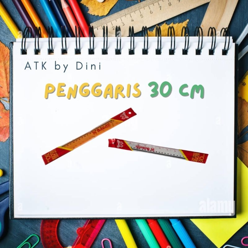 

Penggaris (Butterfly) 30 cm Back to School Perlengkapan Anak Sekolah