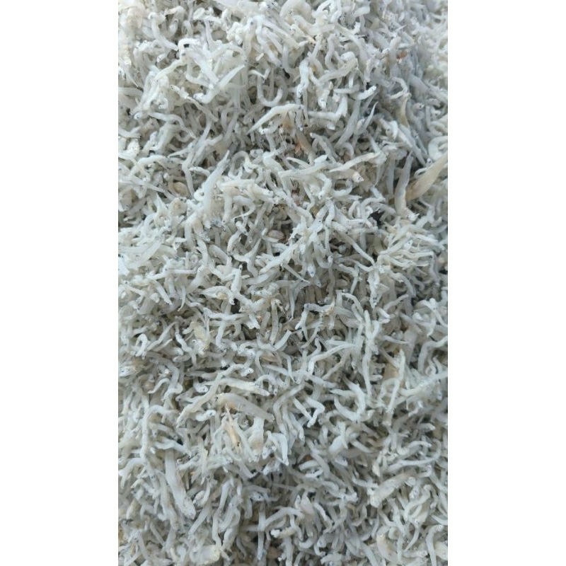 

ikanteriasli